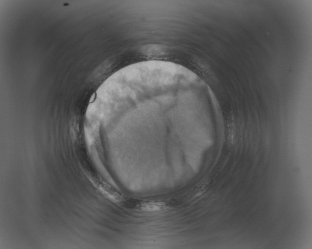 X0000080660618200701121608