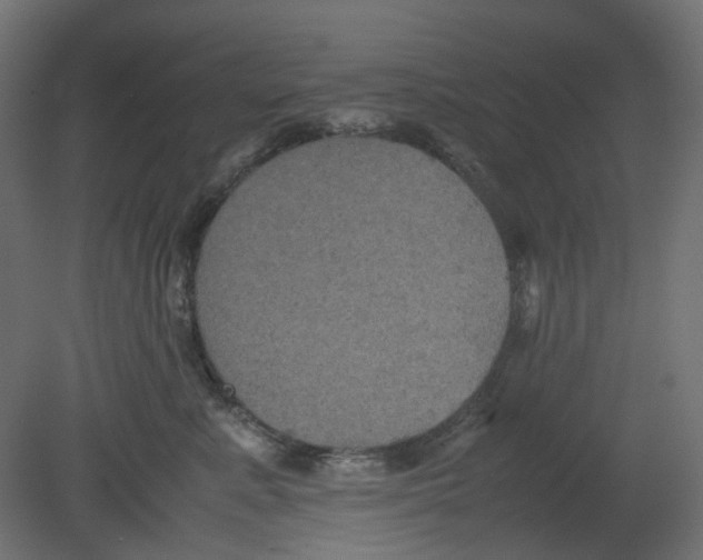 X0000080660619200701121608