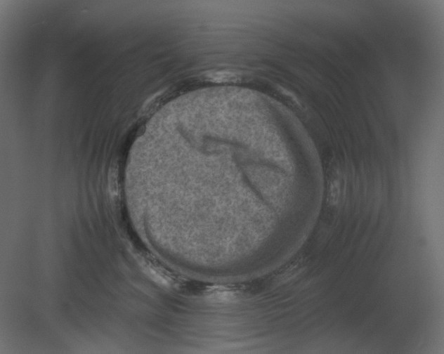 X0000080660620200701121608