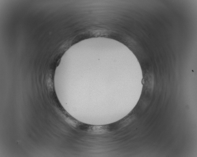 X0000080660622200701121608