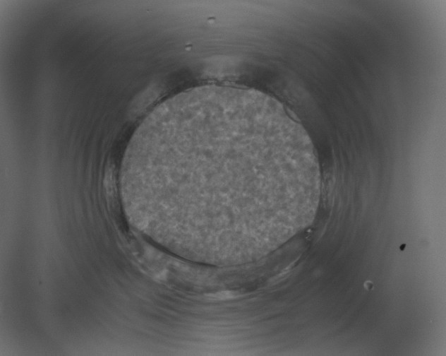 X0000080660623200701121608