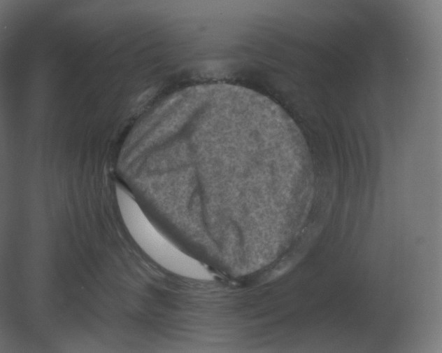 X0000080660624200701121608