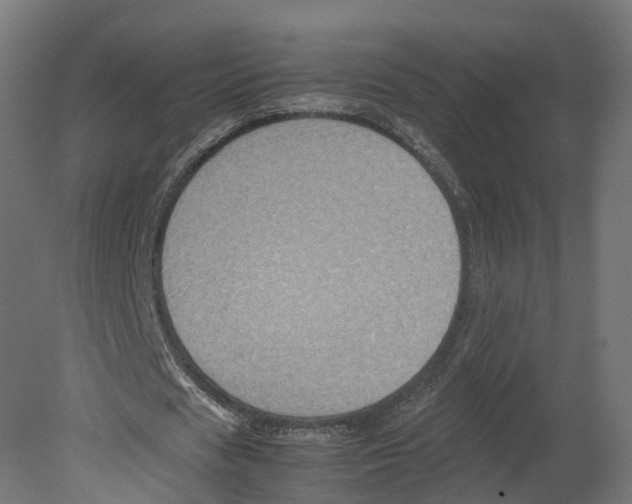 X0000080660625200701121607