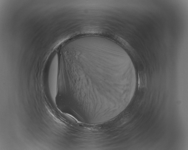 X0000080660627200701121607