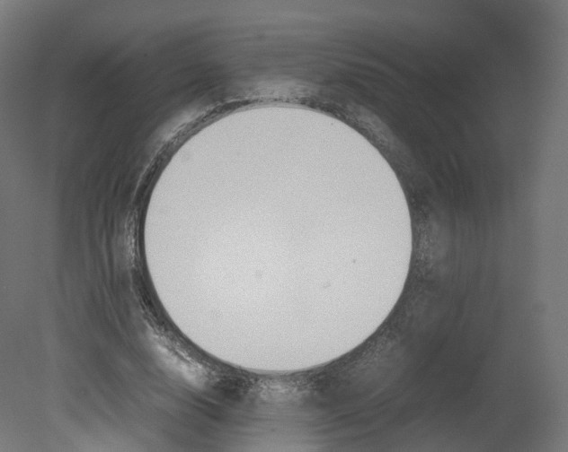 X0000080660632200701121607