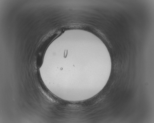 X0000080660633200701121607