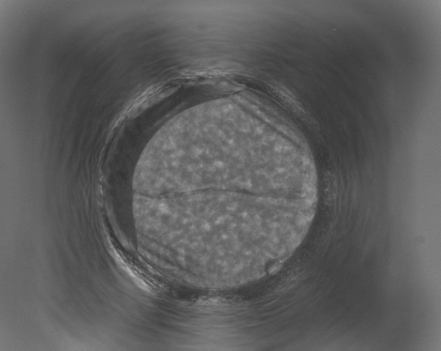 X0000080660634200701121607