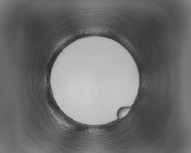 X0000080660636200701121607