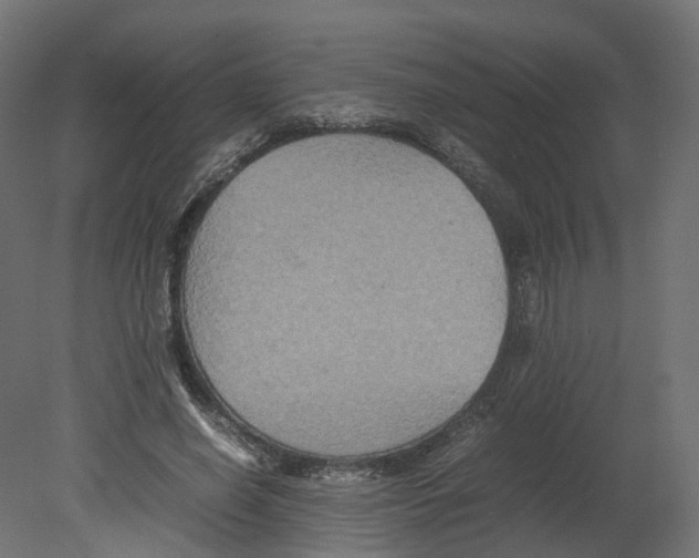 X0000080660638200701121607