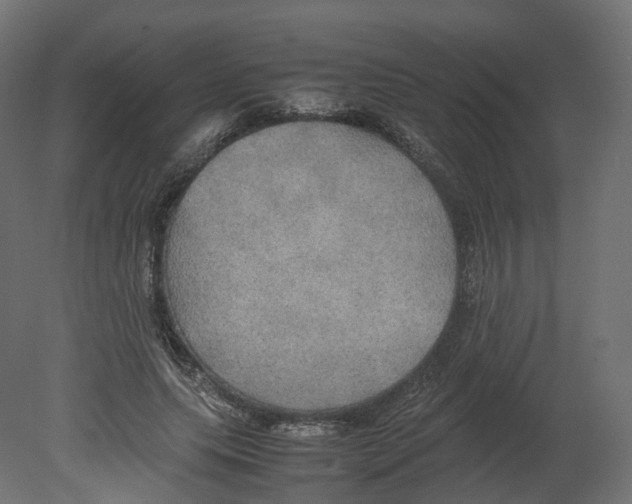 X0000080660639200701121607