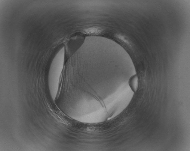 X0000080660641200701121607