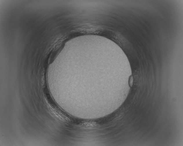 X0000080660642200701121607