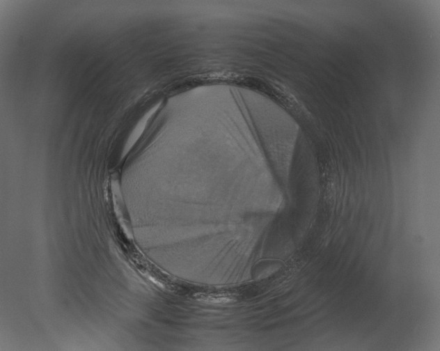 X0000080660643200701121607