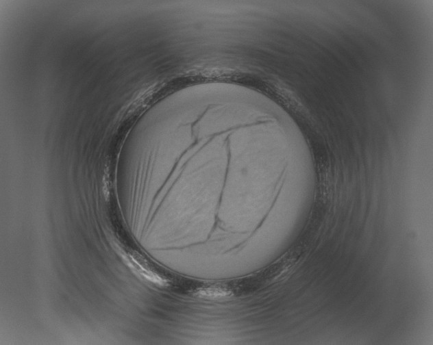 X0000080660644200701121607