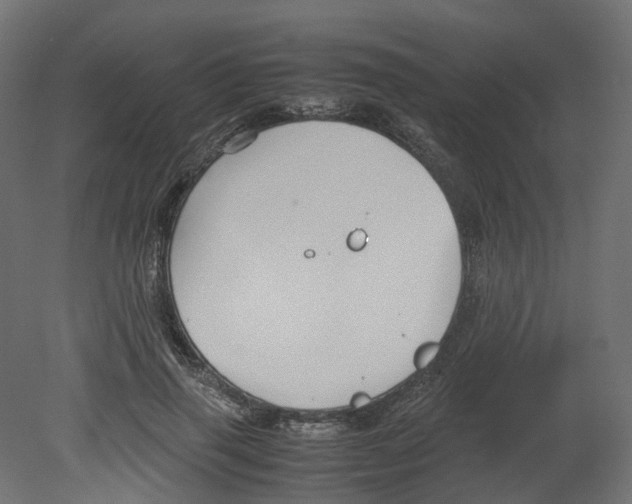 X0000080660645200701121607