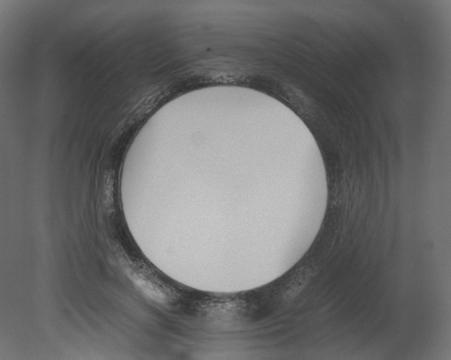 X0000080660646200701121607