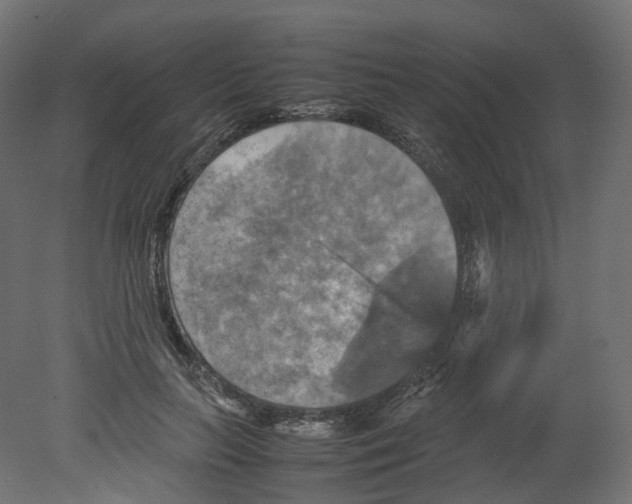 X0000080660647200701121607