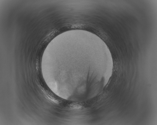 X0000080660648200701121607