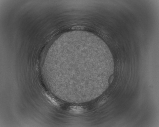 X0000080660649200701121607