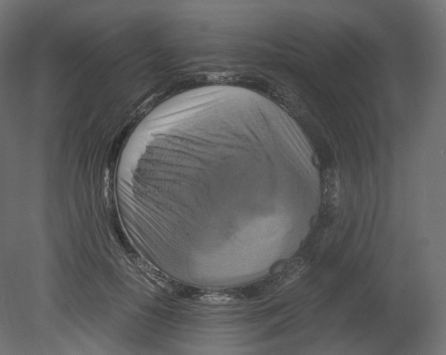 X0000080660650200701121607