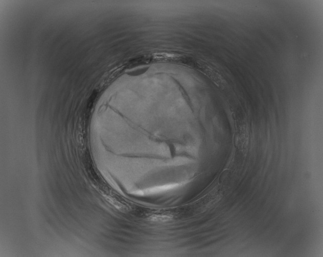 X0000080660653200701121607