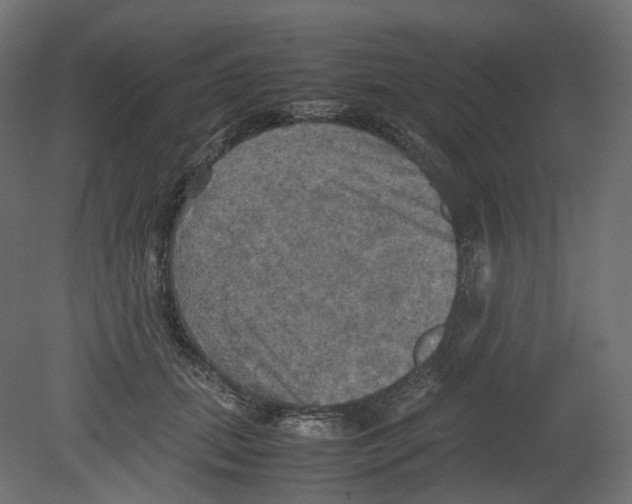 X0000080660655200701121608