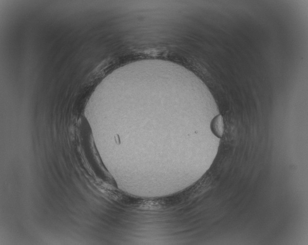 X0000080660656200701121608