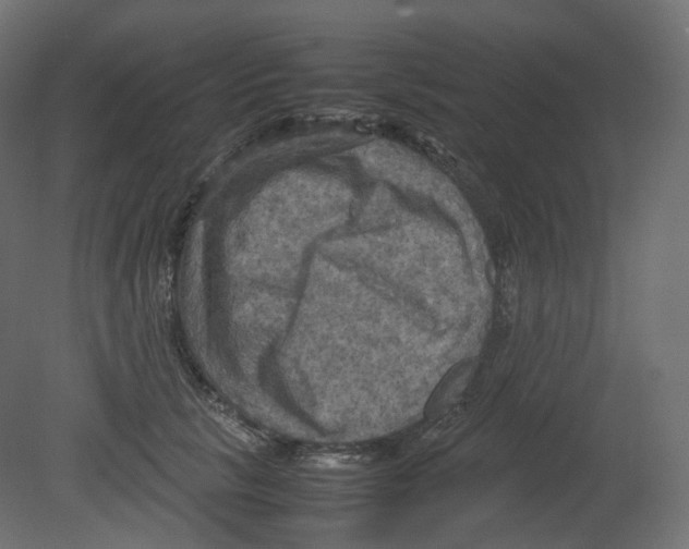 X0000080660657200701121608