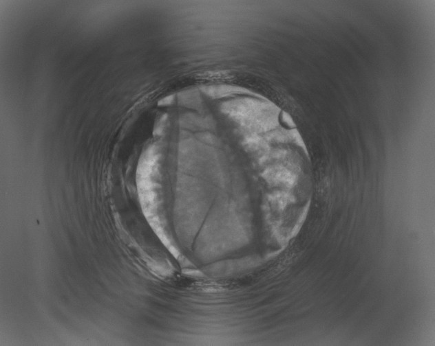 X0000080660658200701121608