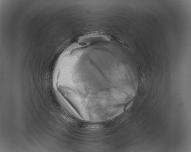 X0000080660659200701121608