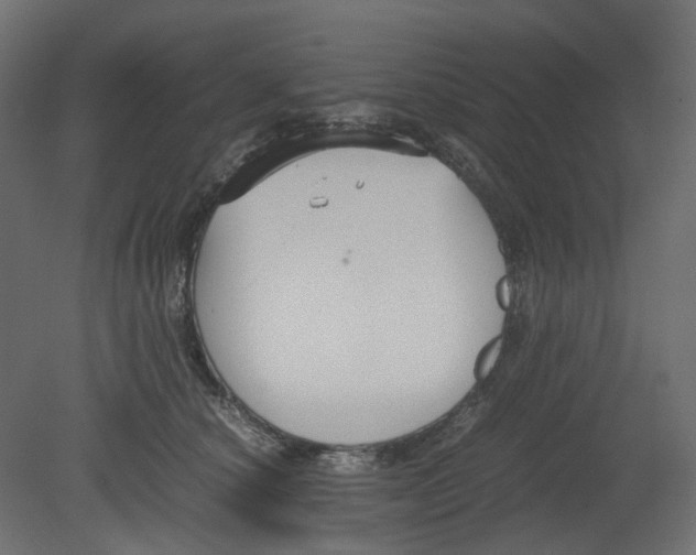 X0000080660660200701121608