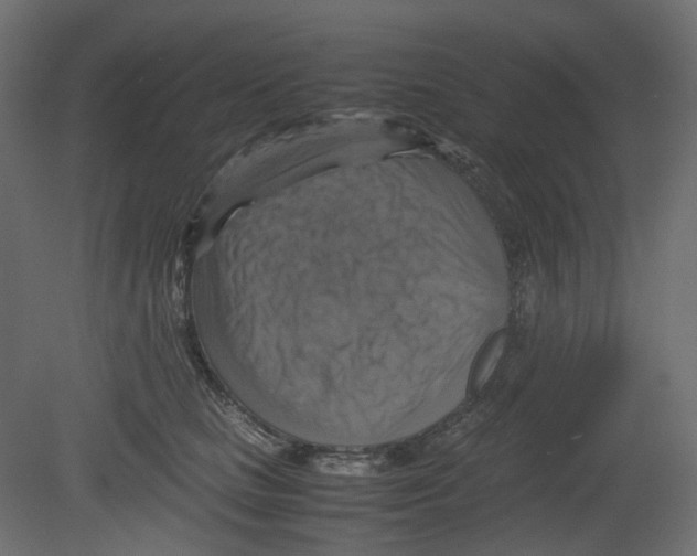 X0000080660661200701121608