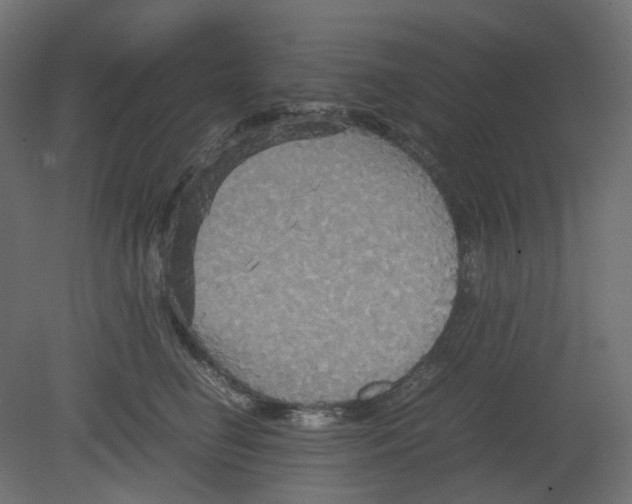 X0000080660662200701121608