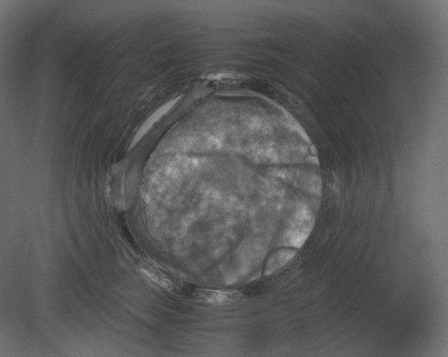 X0000080660663200701121608