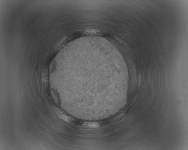 X0000080660665200701121608