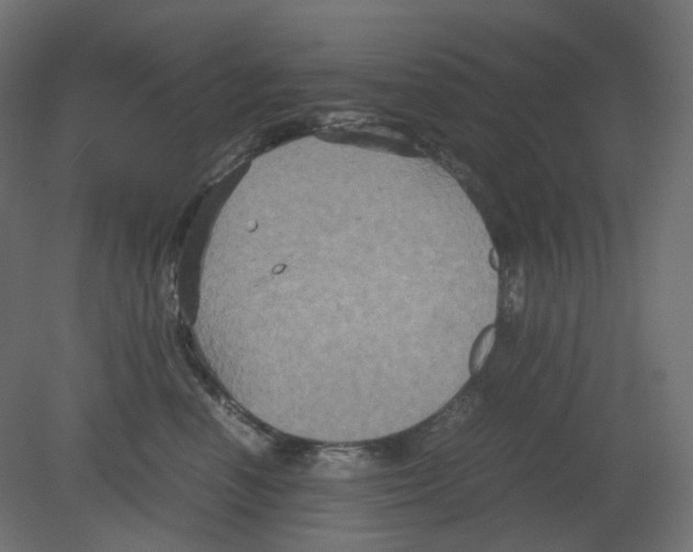 X0000080660666200701121608