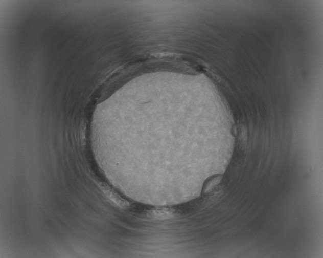 X0000080660668200701121608