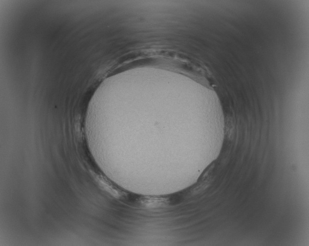 X0000080660670200701121608