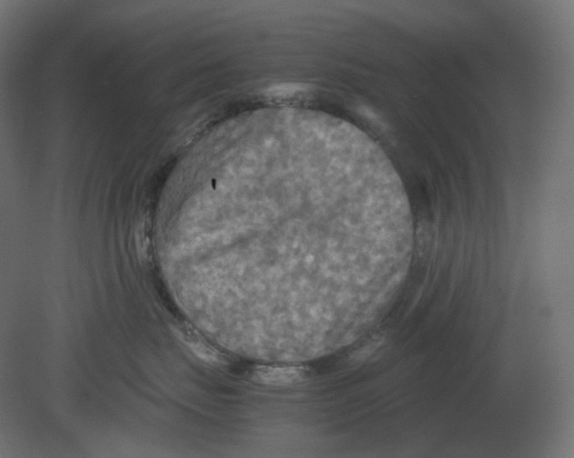 X0000080660671200701121608