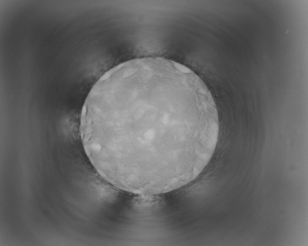 X0000080660672200701121608