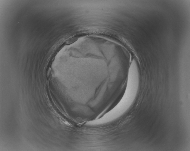 X0000080660673200701121607