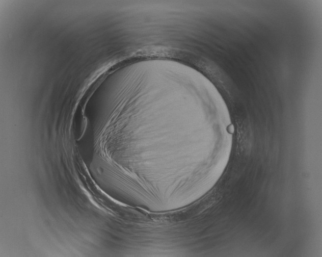 X0000080660674200701121607