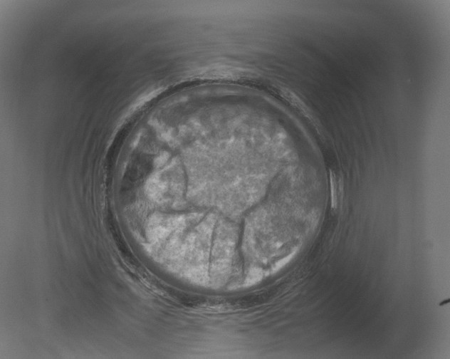 X0000080660675200701121607