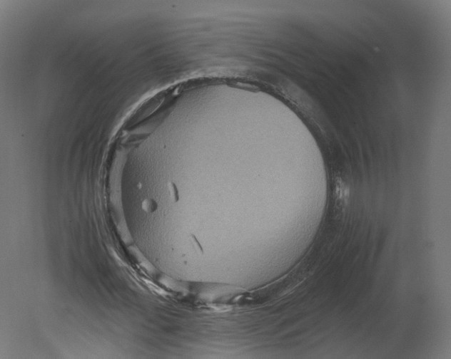 X0000080660676200701121607