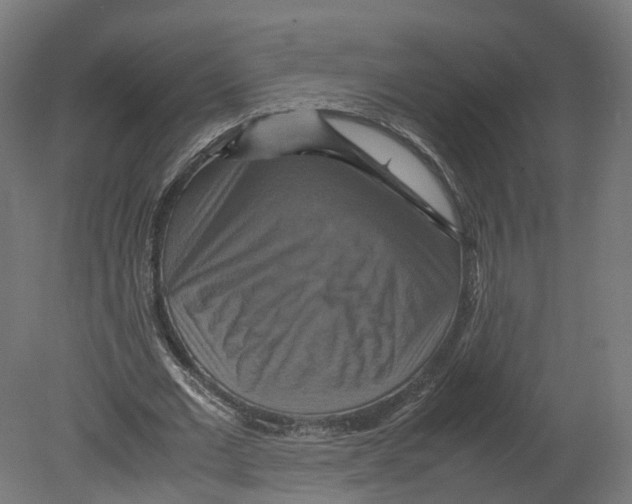 X0000080660677200701121607