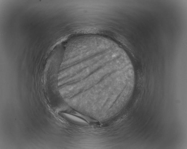 X0000080660681200701121607