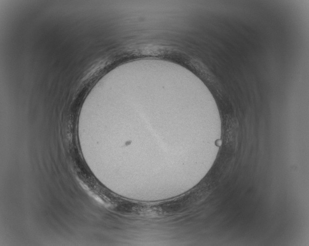 X0000080660683200701121607