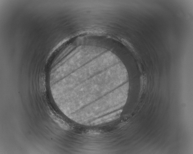 X0000080660684200701121607