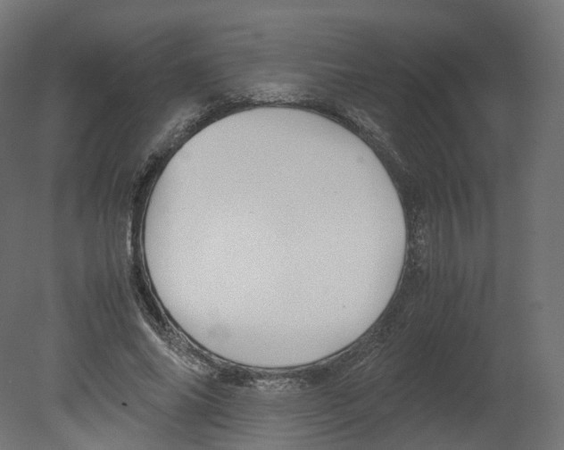 X0000080660686200701121607