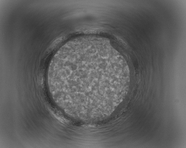 X0000080660687200701121607